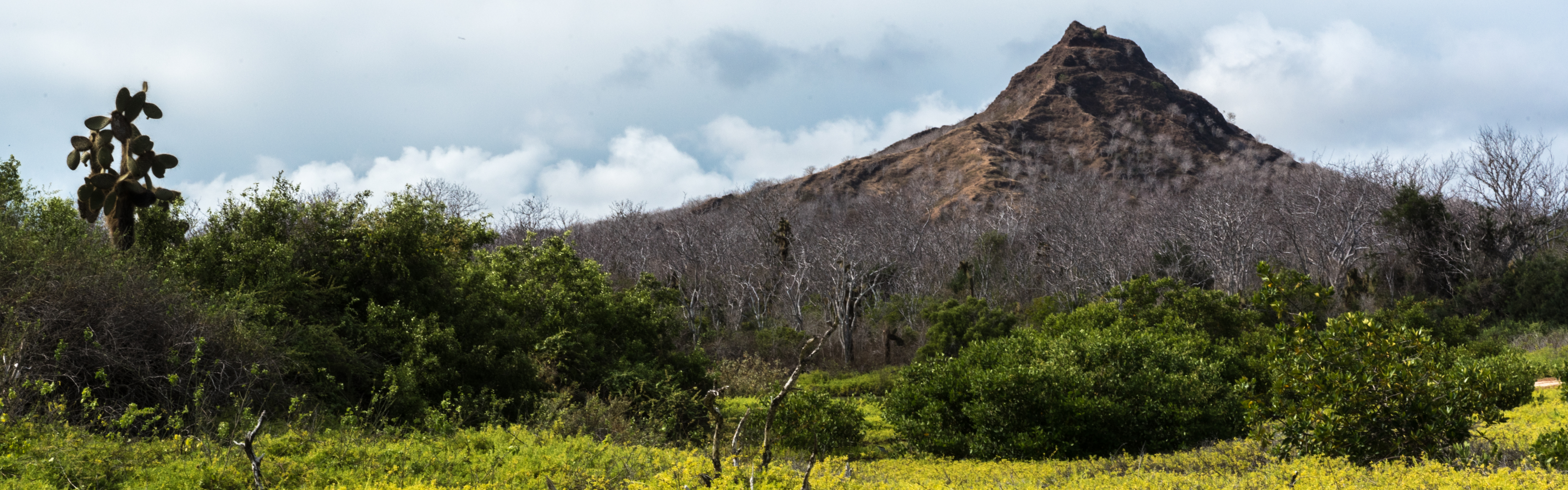 dragon mountain Galapagos